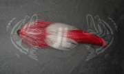 jl_spt_red_white_900