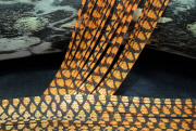 strips_fishsc_orange