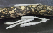 trailer_paddleworm